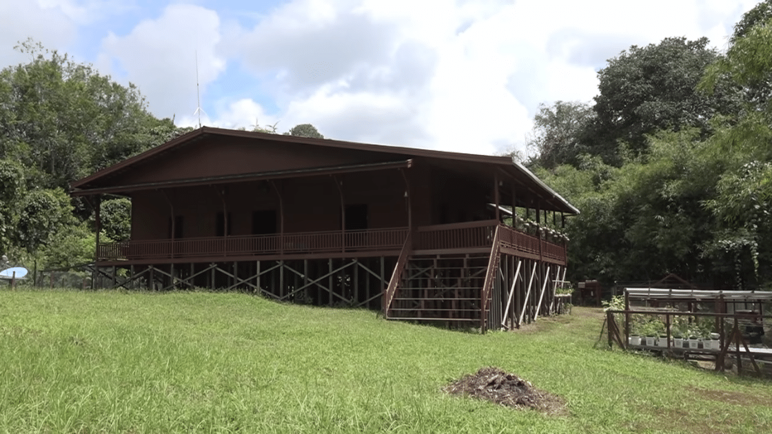 Rumah Andrew Kalaweit berbentuk panggung