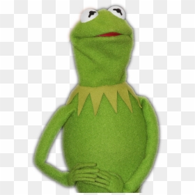 Kermitthefrog Kermitmemes The Frog - Kermit The Frog Cute, HD Png ...