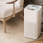 Top 10 Best Air Purifiers of 2024