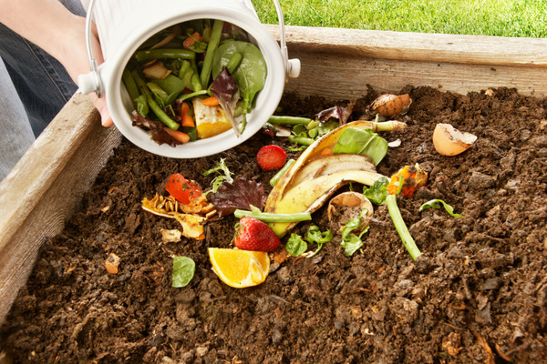 compost