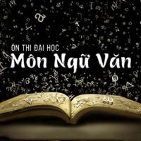 Bí kíp thi đại học môn văn hiệu quả nhất