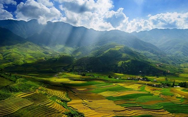 Vẻ đẹp thanh bình mà hoang sơ giữa thung lũng Mai Châu mùa lúa chín luôn để lại trong lòng du khách những xúc cảm mới lạ, mời gọi bước chân du khách trở lại vùng rừng núi miền Tây Bắc