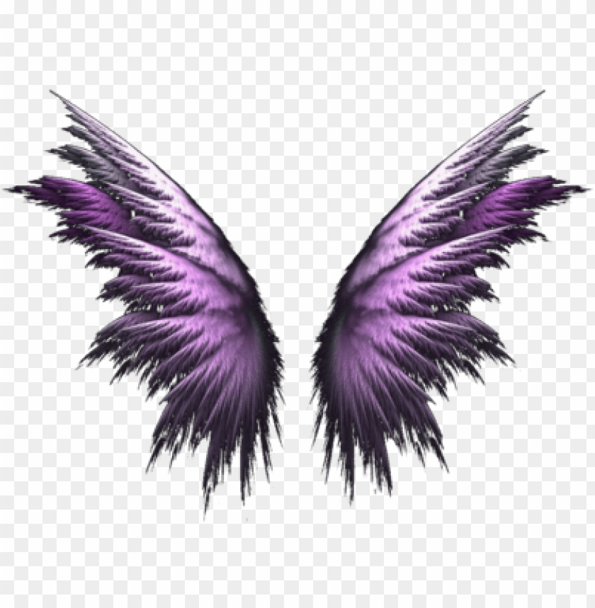 Free download | HD PNG angel wings png purple angel wings PNG image ...