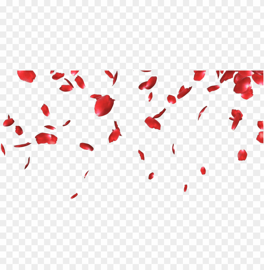 Falling Petals Png Picture Rose Petals Falling Png Image With Transparent Background Toppng