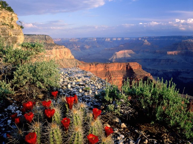 Grand Canyon National Park Arizona