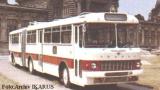 Ikarus 556