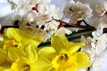 Spring Flower Bouquet №29973