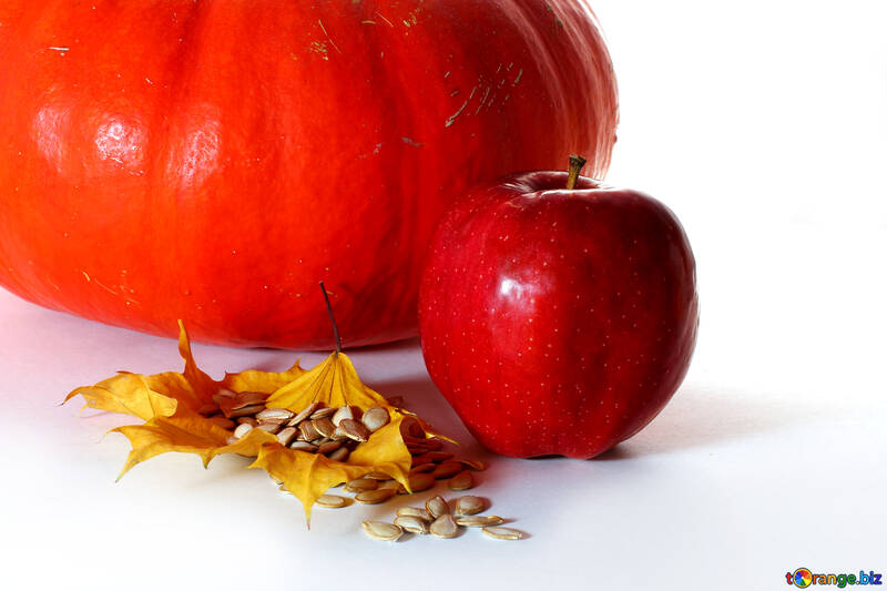 Apple and pumpkin on white background №35565