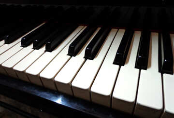 Piano keys