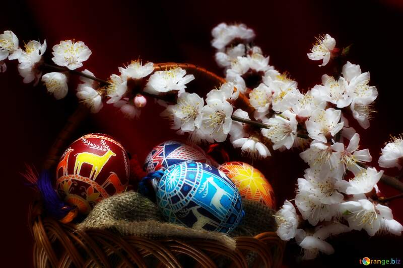 Easter dark night background №29862