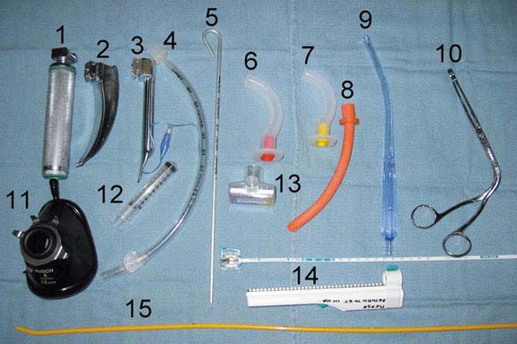 Endotracheal Intubation Tube Inserted In Airway 1