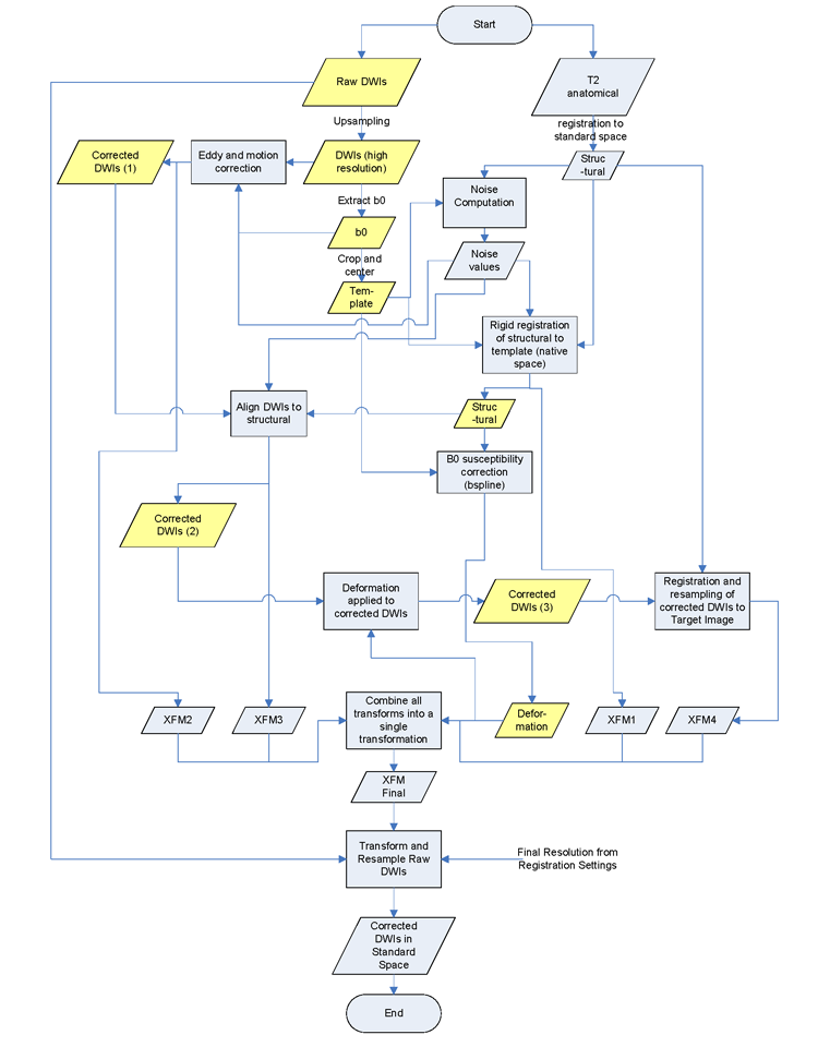 DIFF_PREP Pipeline | TORTOISE Software