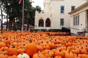 Fall & Halloween 2024 Events in St. Augustine & St. Johns County