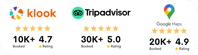 tripadvisor