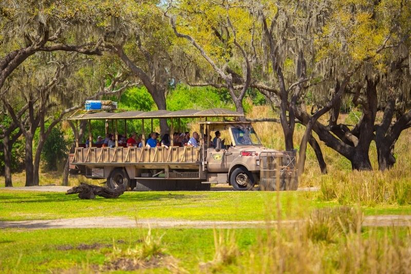 Safari Wilderness, Orlando