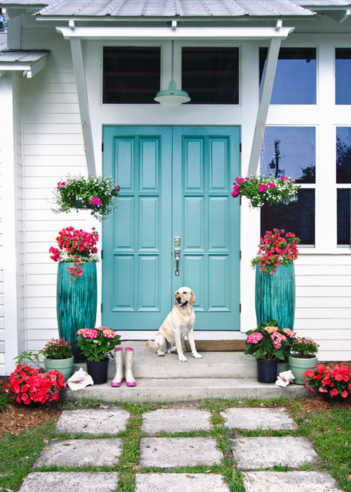 Double Front Doors Painted Turquoise