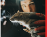 rat-services