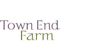 Town End Farm, holiday accommodation in Yorkshire