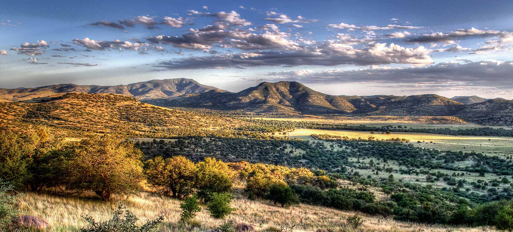 Davis Mountains Vista