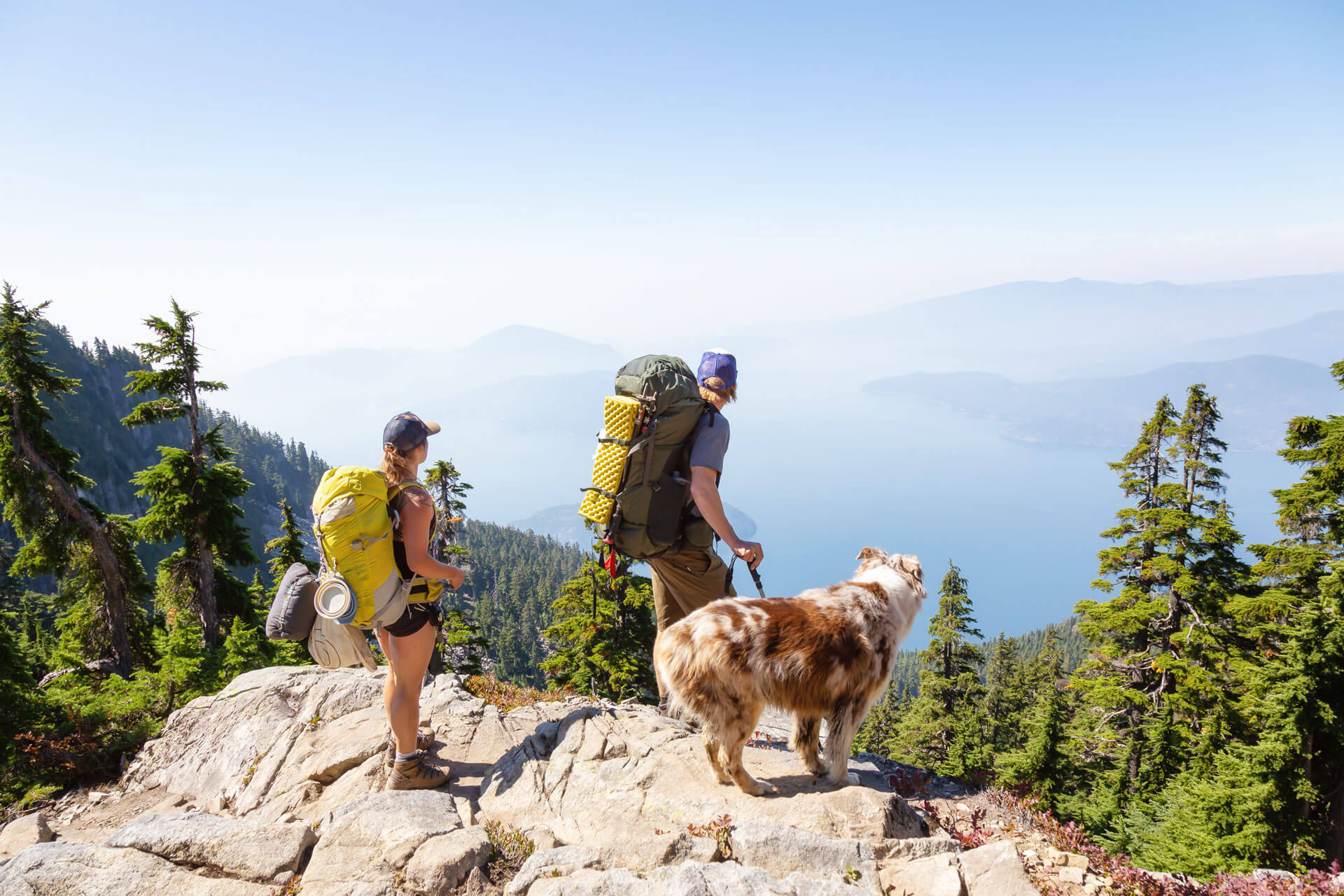 Dog Hiking Equipment at Mary McGonagle blog