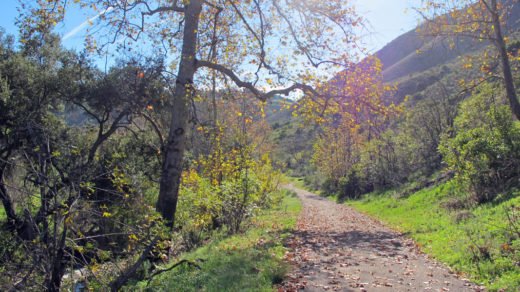 Solstice Canyon Hike Path