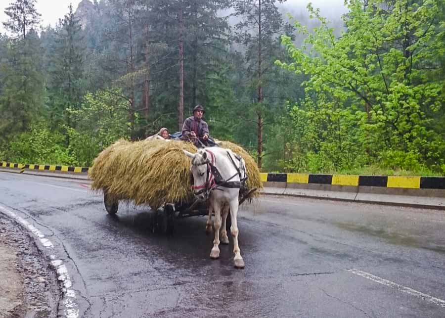 Bucovina Romania