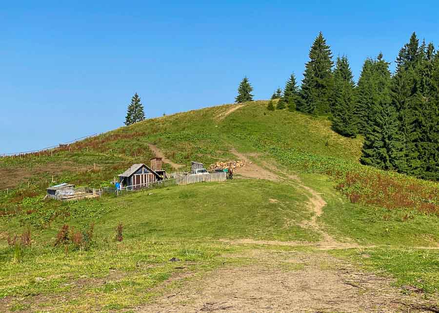 Sheepfold in Bucovina