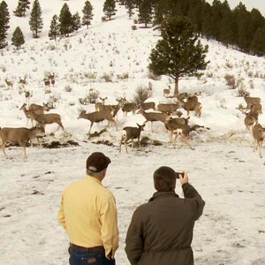 The Oregon Department of Fish and Wildlife stocks nine feeding stations each day along a 150-mile loop in the Elkhorn Wildlife Area.