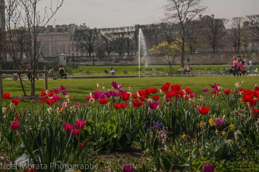 Spending a perfect day in Paris