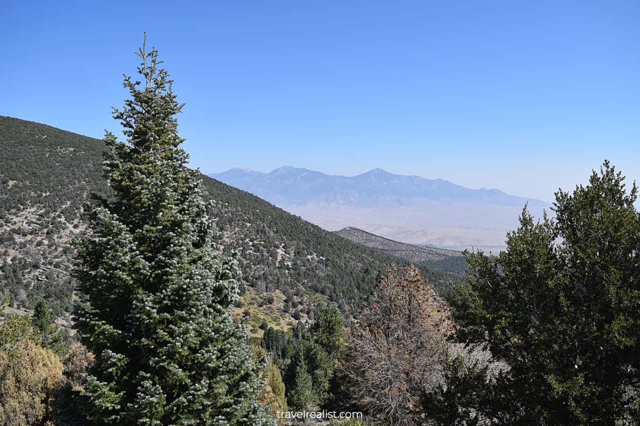 Wheeler Peak Scenic Drive in Great Basin National Park, Nevada, US