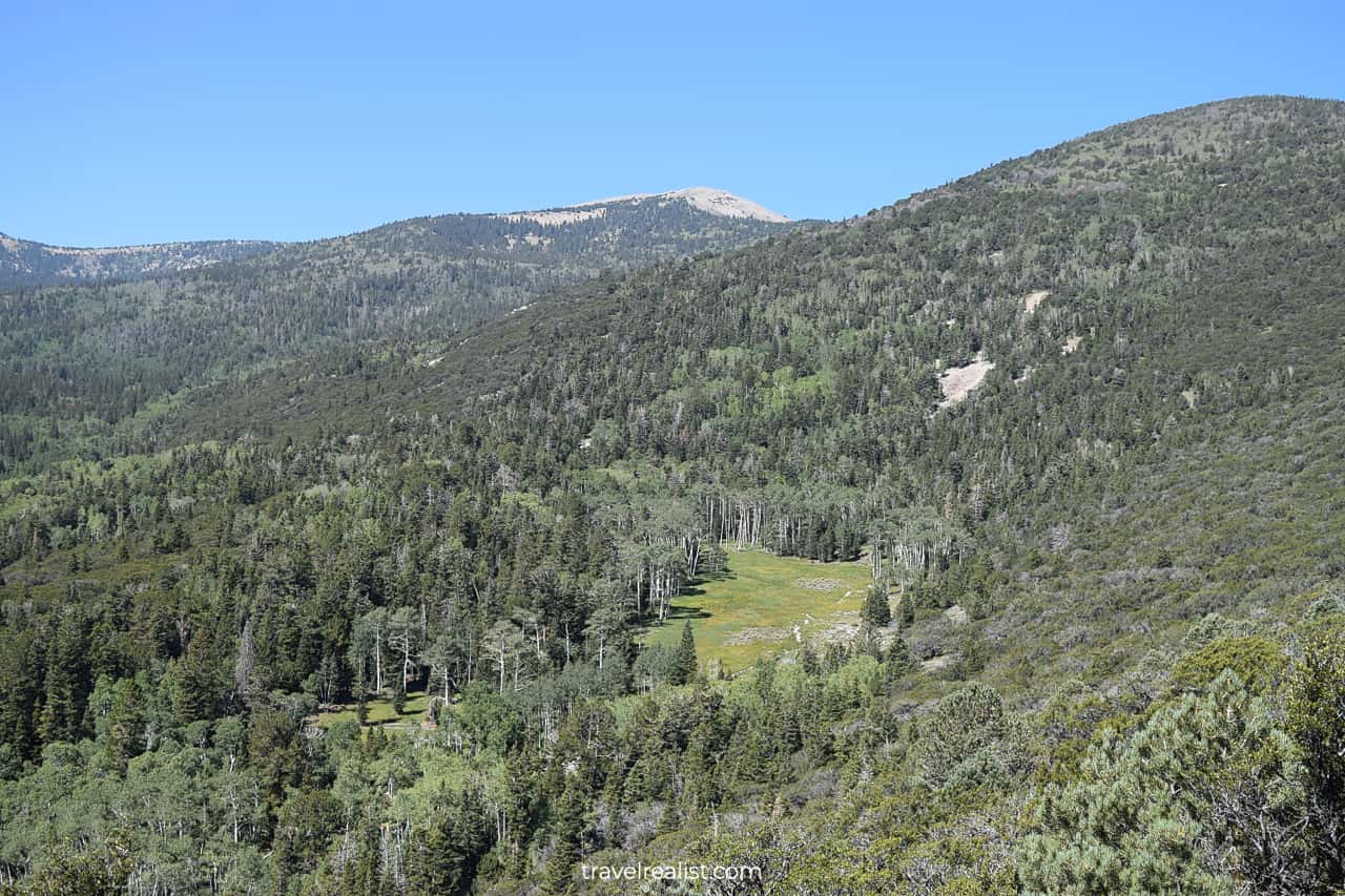 Bald Mountain view from Wheeler Overlook in Great Basin National Park, Nevada, US