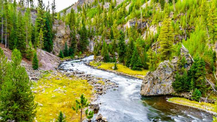 Yellowstone National Park