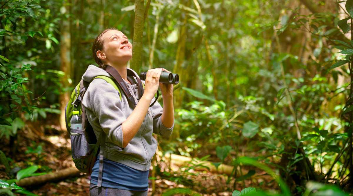 Hiker watching through binoculars wild birds in the jungle.