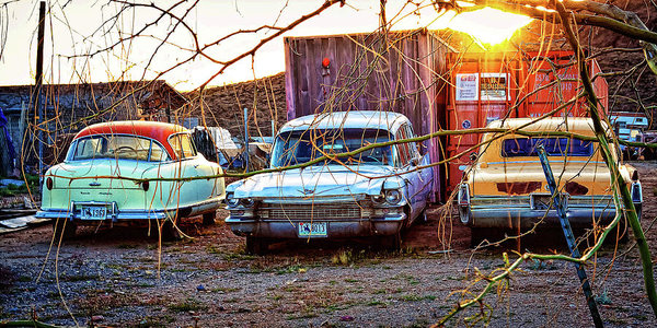 Backyard jewells in Dolan Springs, Arizona