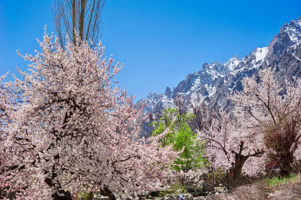 Hunza Pakistan