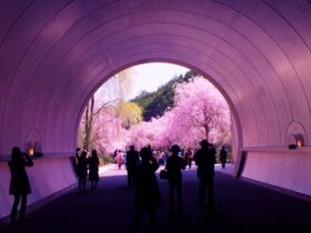 MIHO MUSEUM