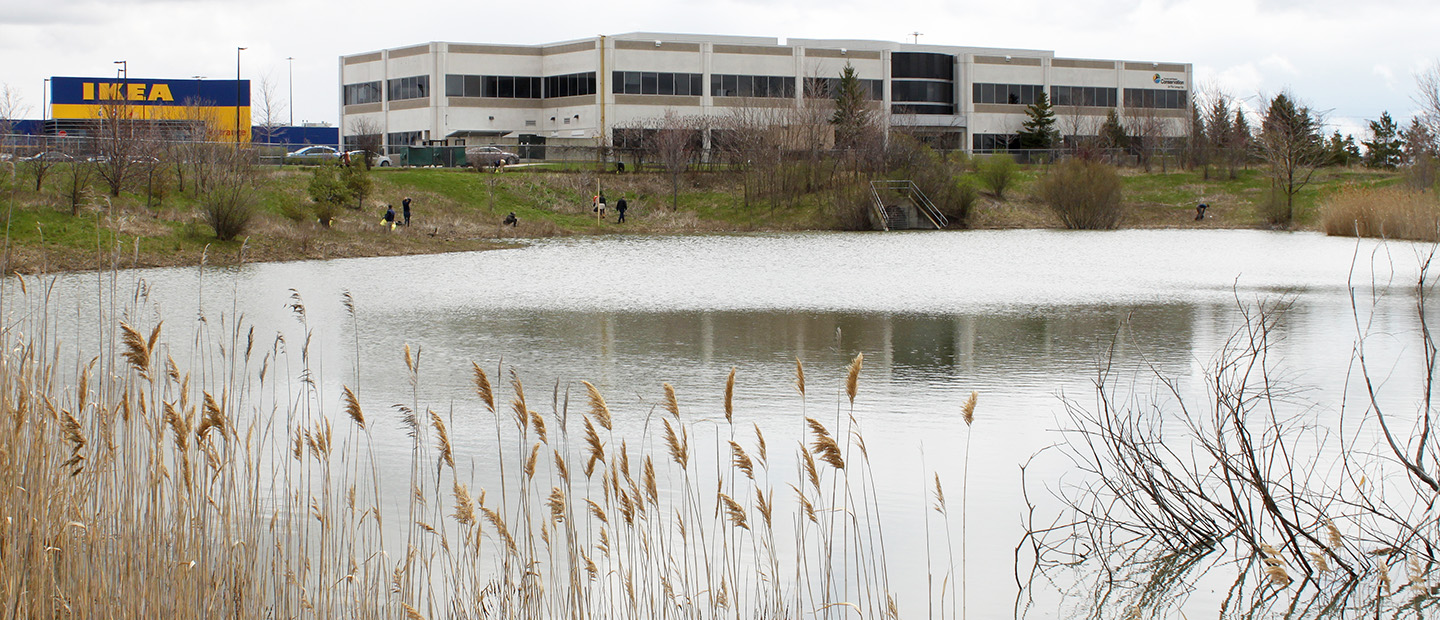 stormwater pond