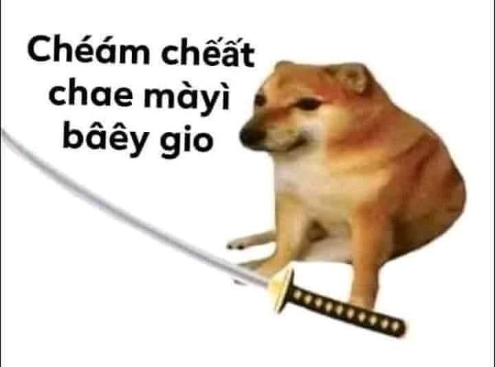 Chém chết cha mày bây giờ