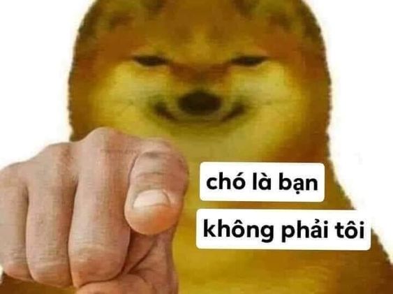 Chó là bạn không phải tôi