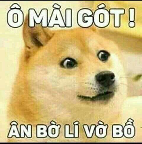 Doge Ô mài gót