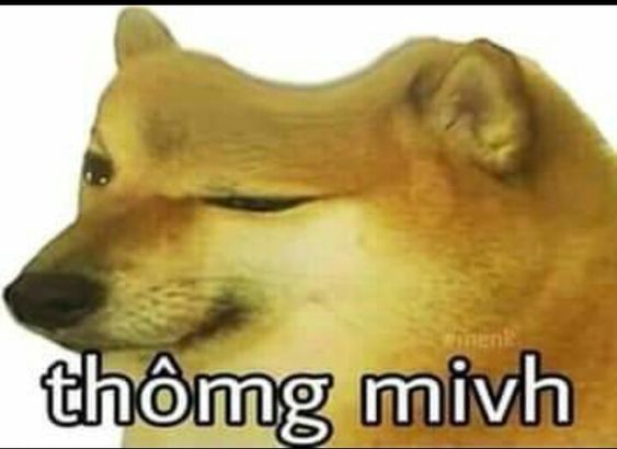 Meme Cheems Thông minh