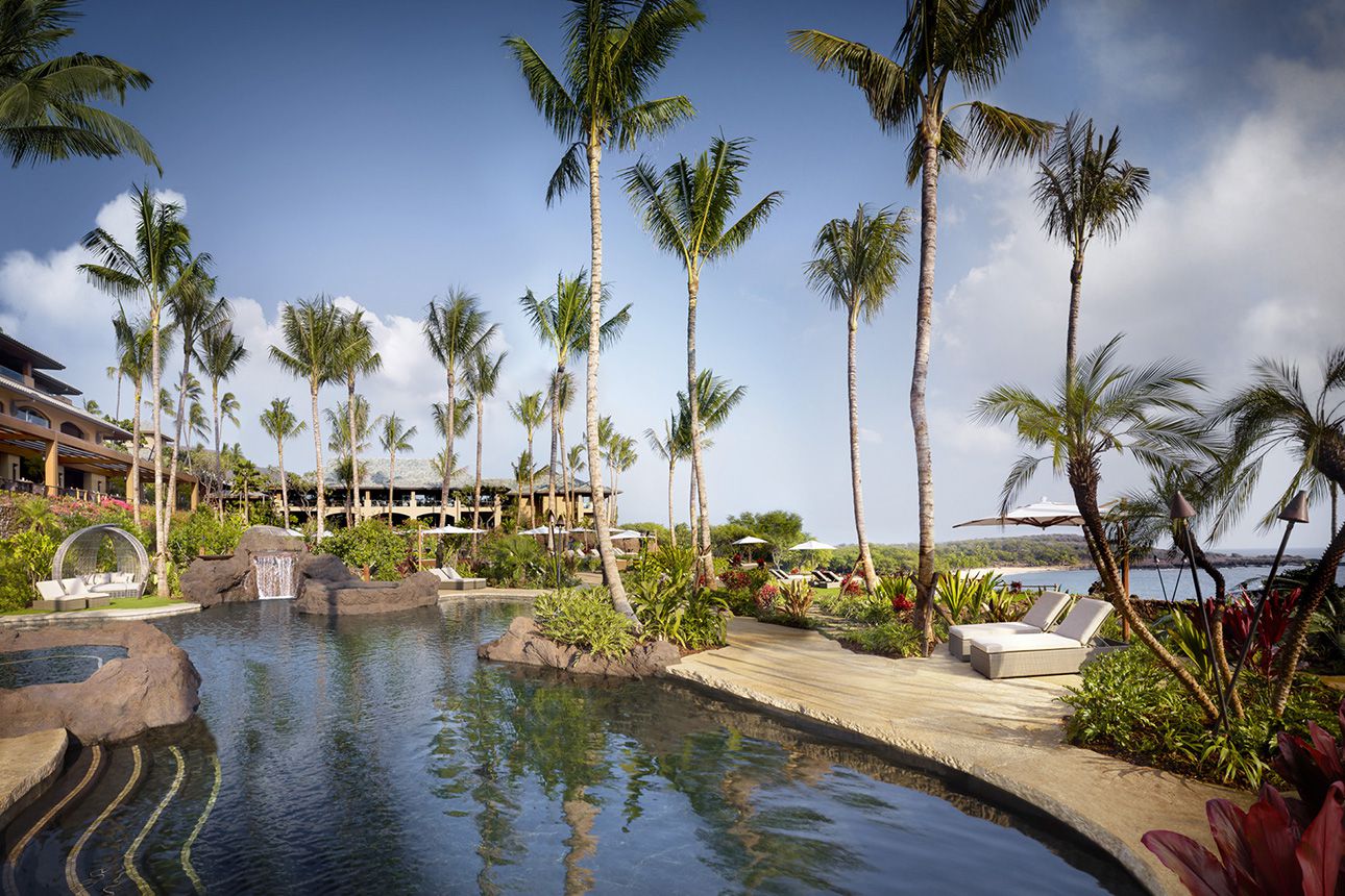 Four Seasons Lanai palms.