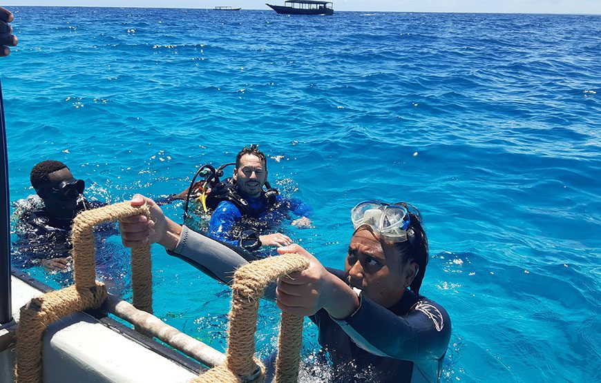 Snorkeling Mnemba Atoll