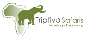 Triptivo Safaris