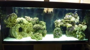 Ocean Rock - Bare Tank