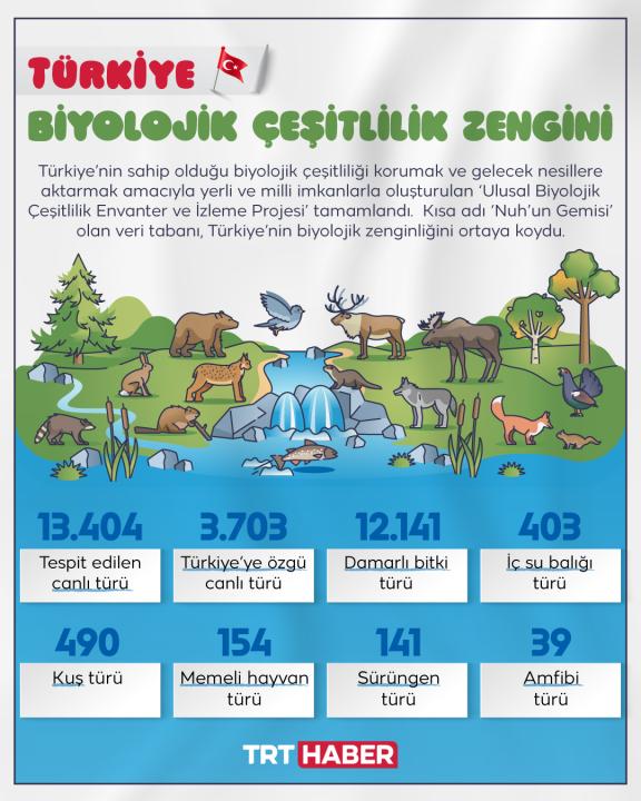 Türkiye'de 13 bin 404 farklı canlı türü yaşıyor