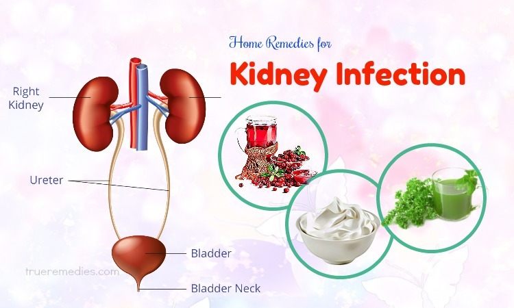 home remedies for kidney infection