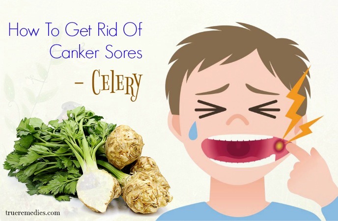 how to get rid of canker sores - celery