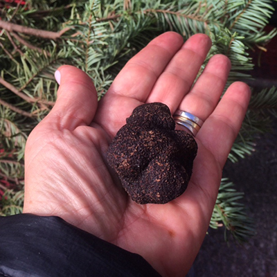 California Truffle