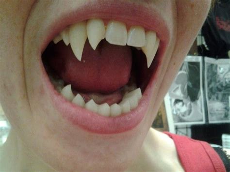 How To Get Vampire Teeth For Real - Bloodlust FX Fangs | MostlyDead.com ...